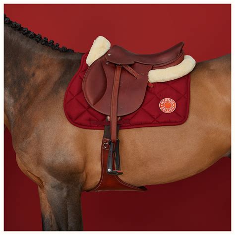 hermes horse tack.